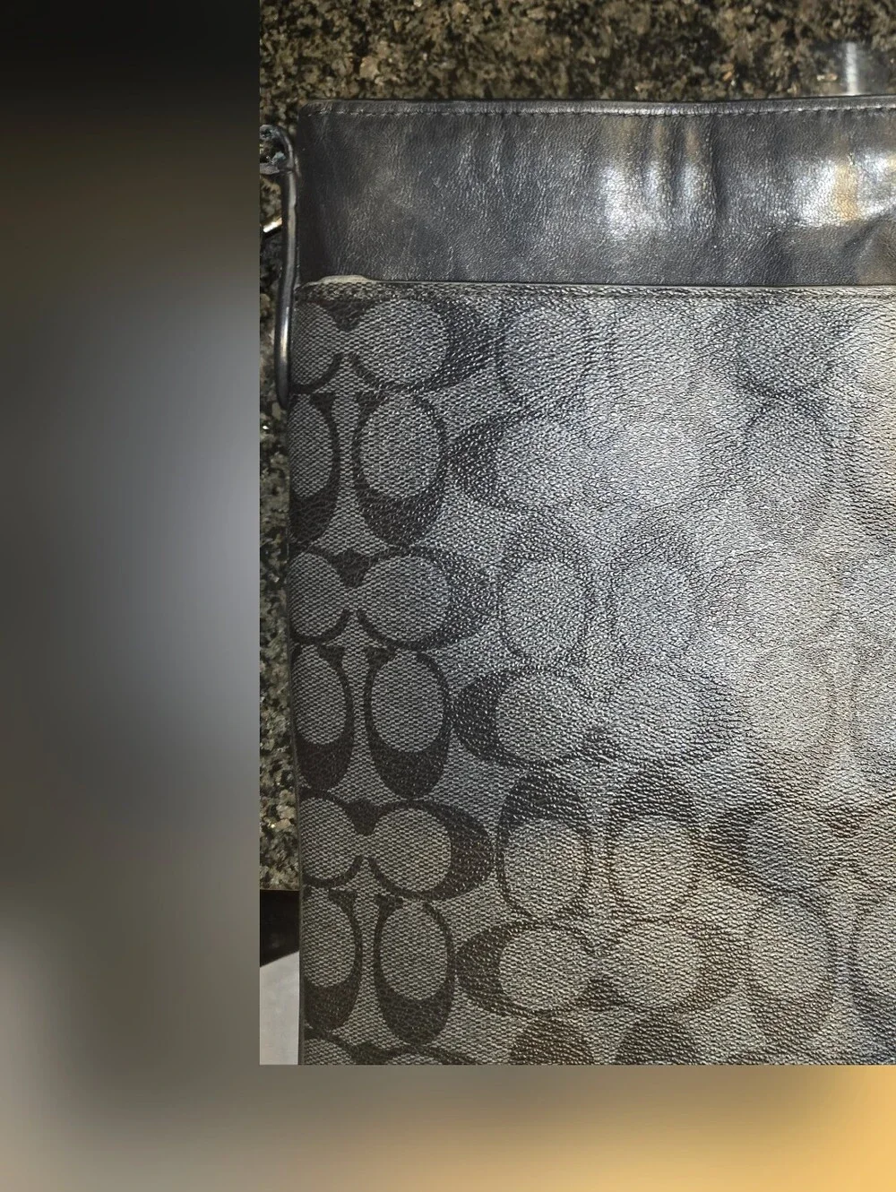 Coach Gray/Black Signature Messenger Bag